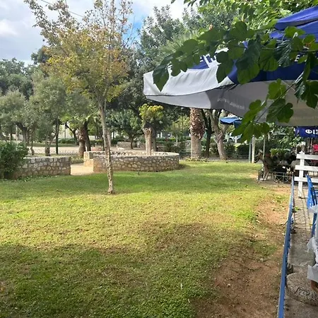 Natural Near Downtown Apartment